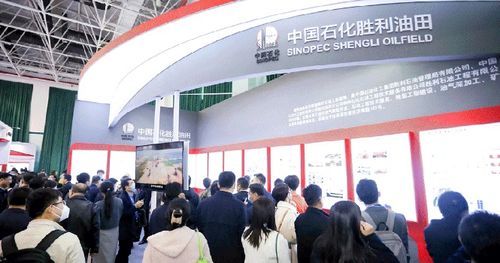 2024中國油氣開發(fā)技術(shù)年會 聚焦提質(zhì)增效，共繪能源新藍(lán)圖